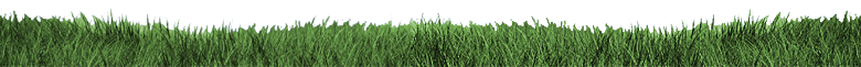 grass